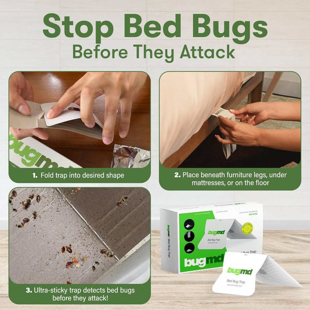 The Bed Bug Traps - Image 3