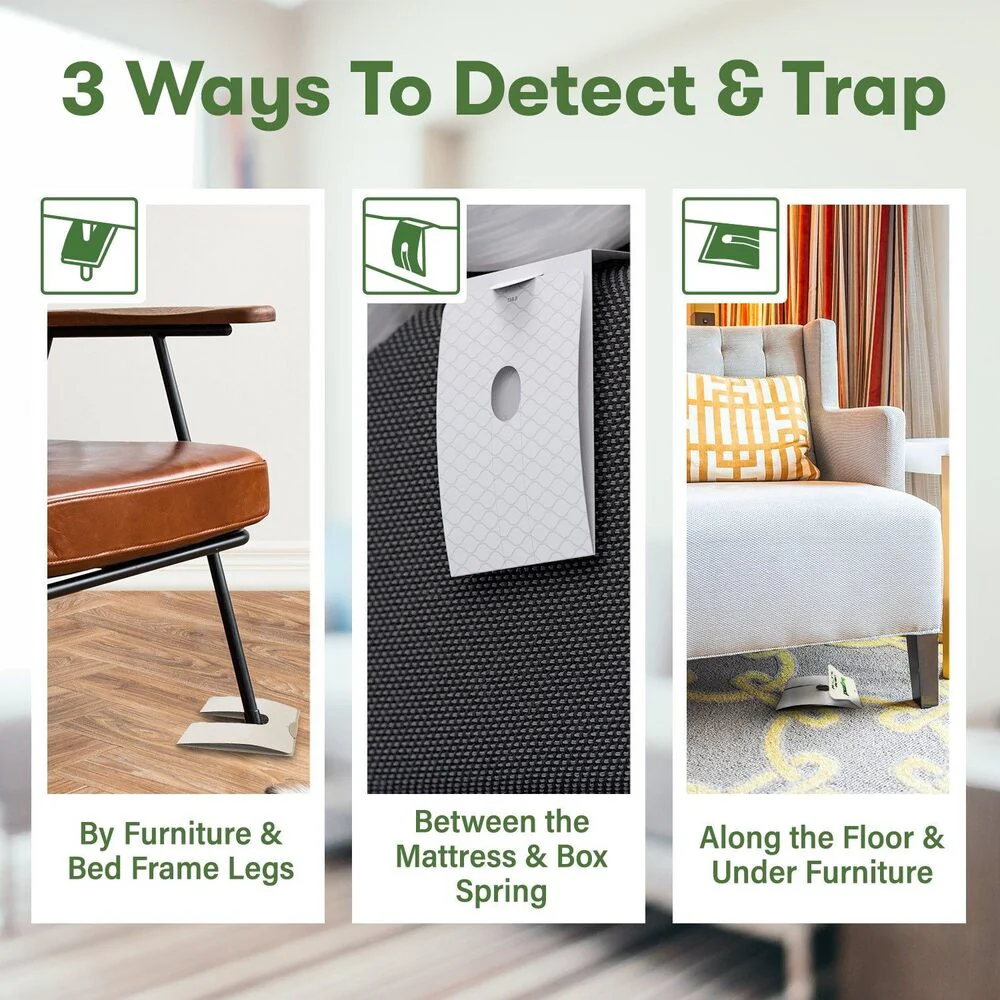The Bed Bug Traps - Image 4