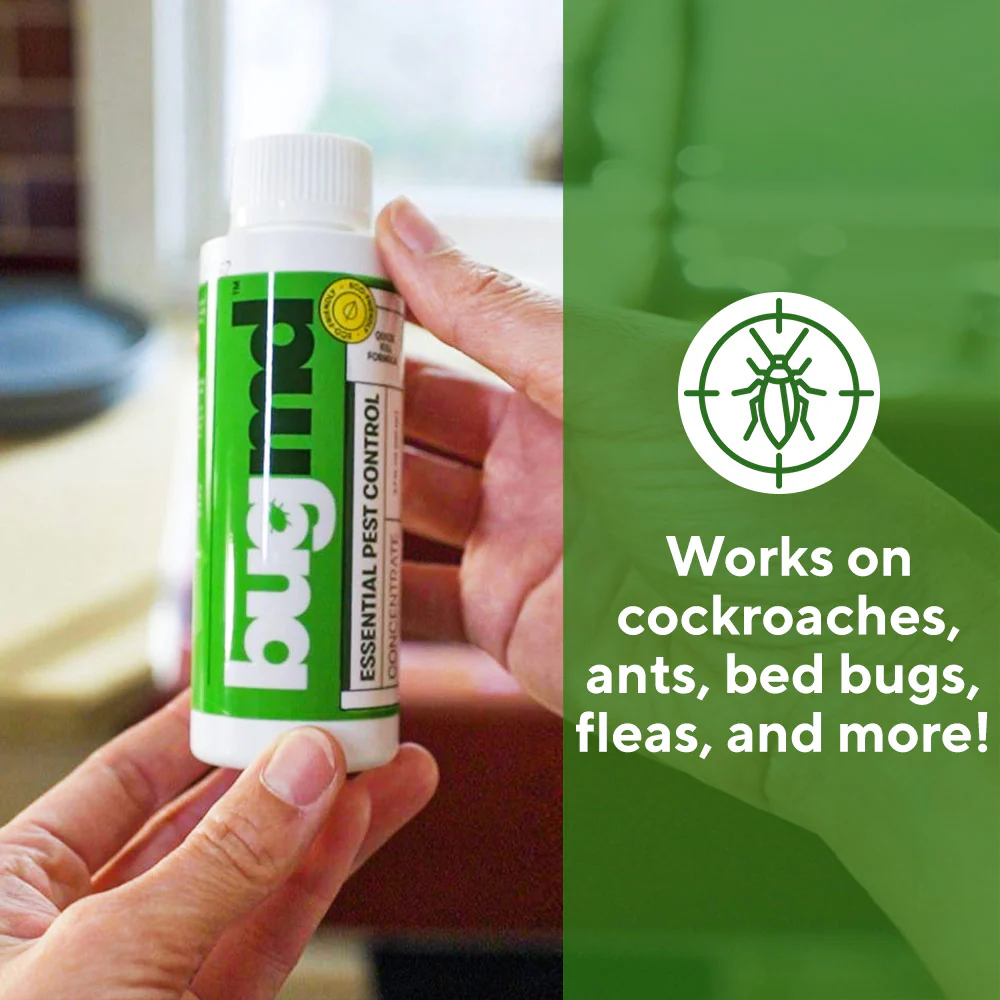 Essential Pest Concentrate - Image 5