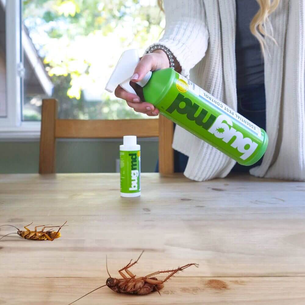Bug MD Concentrate - Black Friday Sale - Image 4