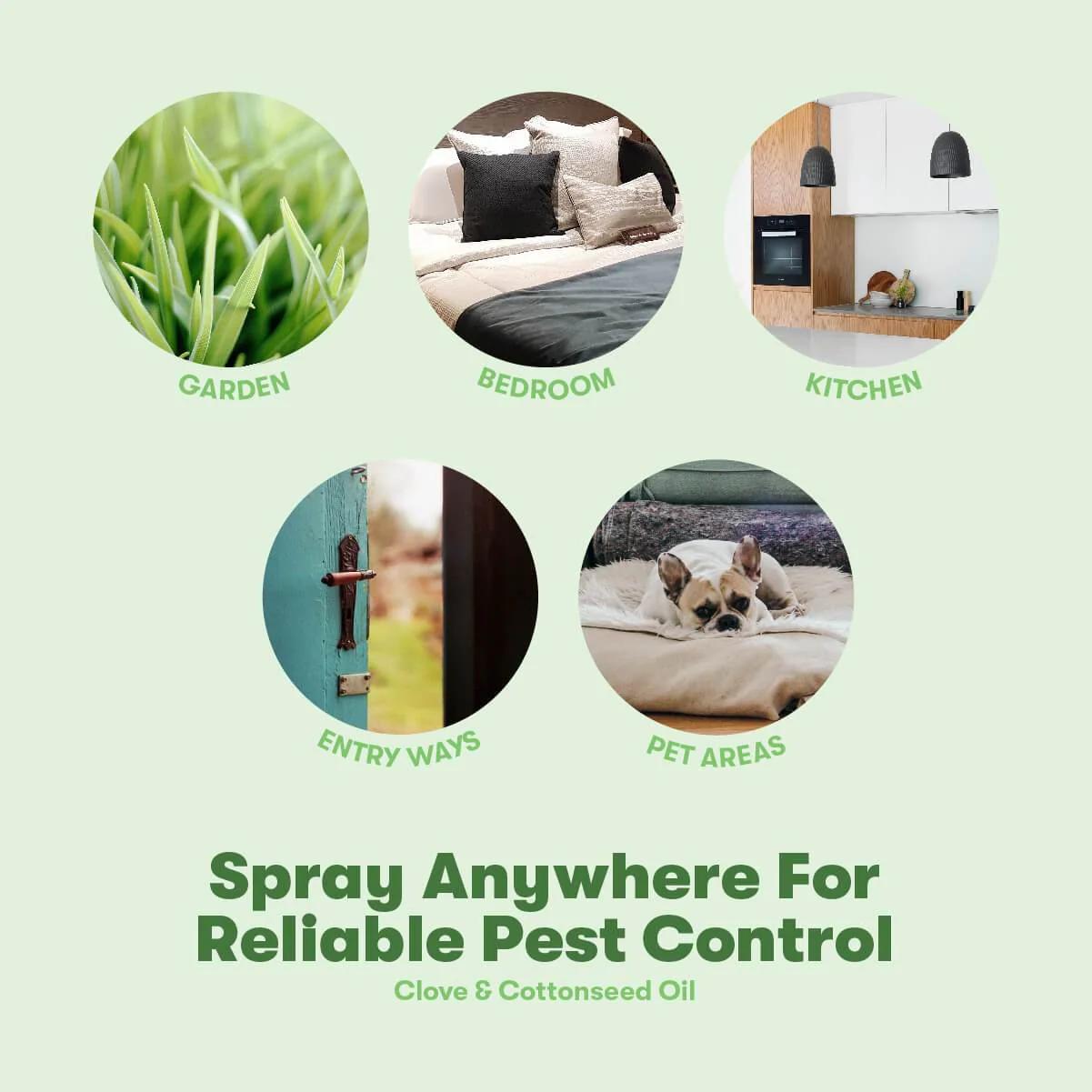 Bug-MD Essential Pest Concentrate - Image 4