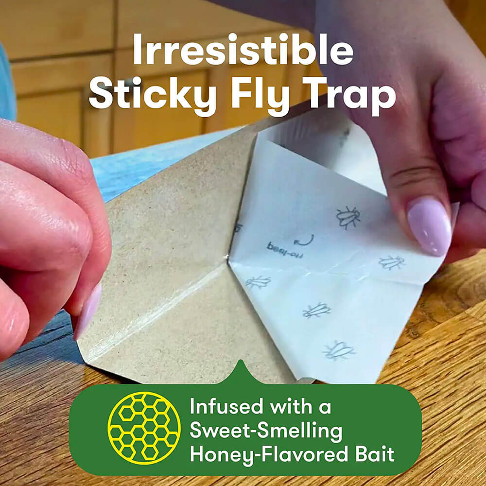 BugMD BarFly + Window Fly Traps FREE - Image 5