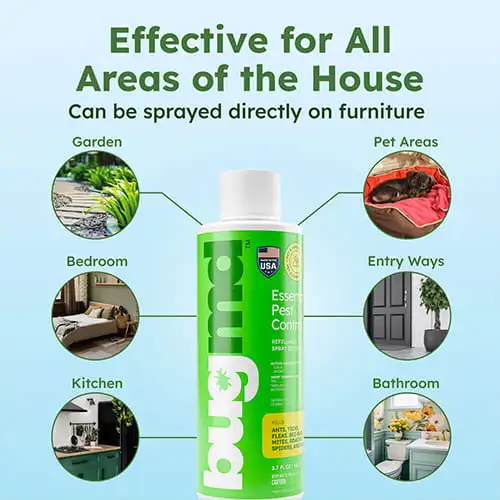 BugMD Essential Pest Control Concentrate - Image 3