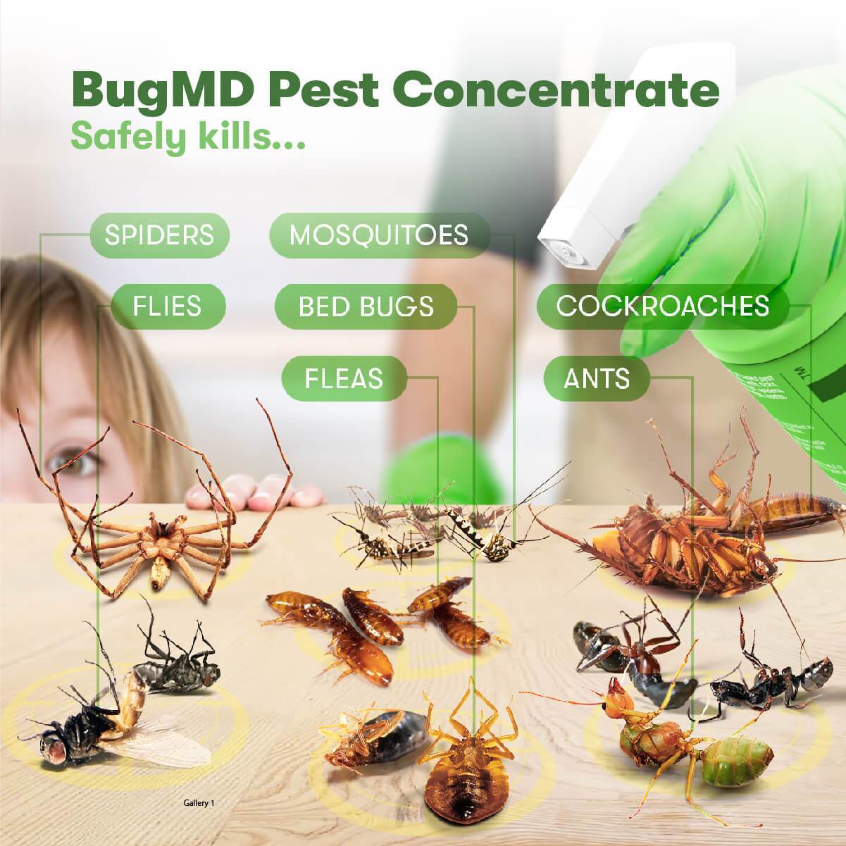 BugMD - Essential Pest Concentrate - Image 2