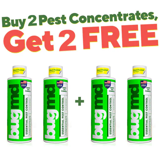 Exclusive Offer of Essential Pest Concentrate - Image 7
