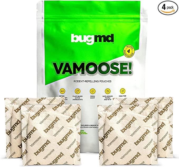 Exclusive Offer of VAMOOSE! - Image 2