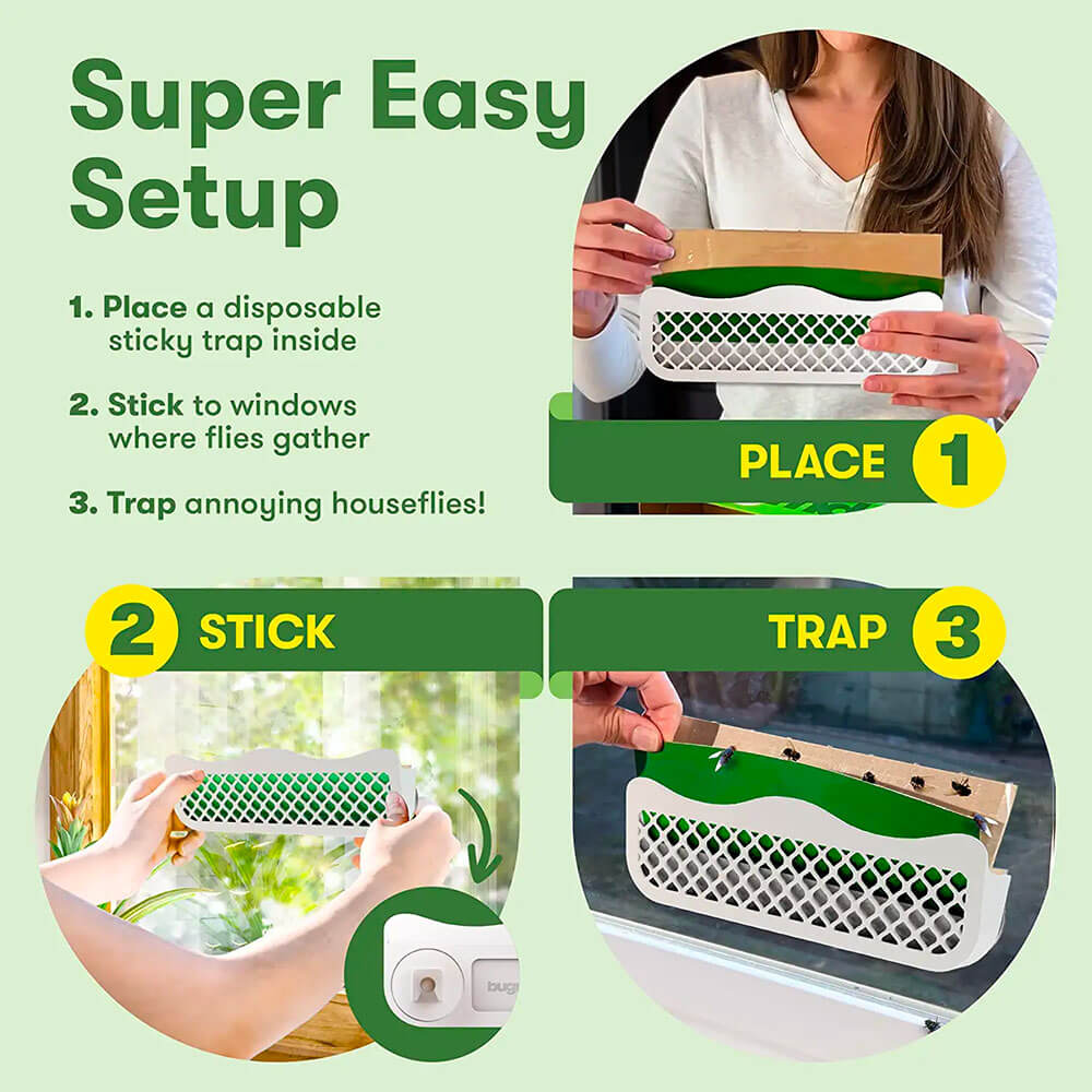 BugMD BarFly + Window Fly Traps FREE - Image 3