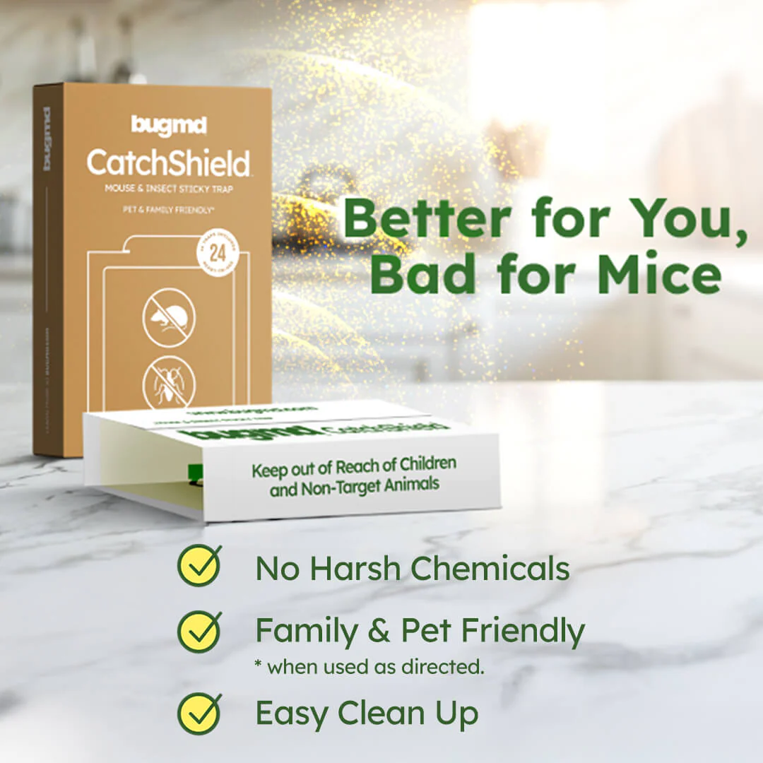 CatchShield - Image 4