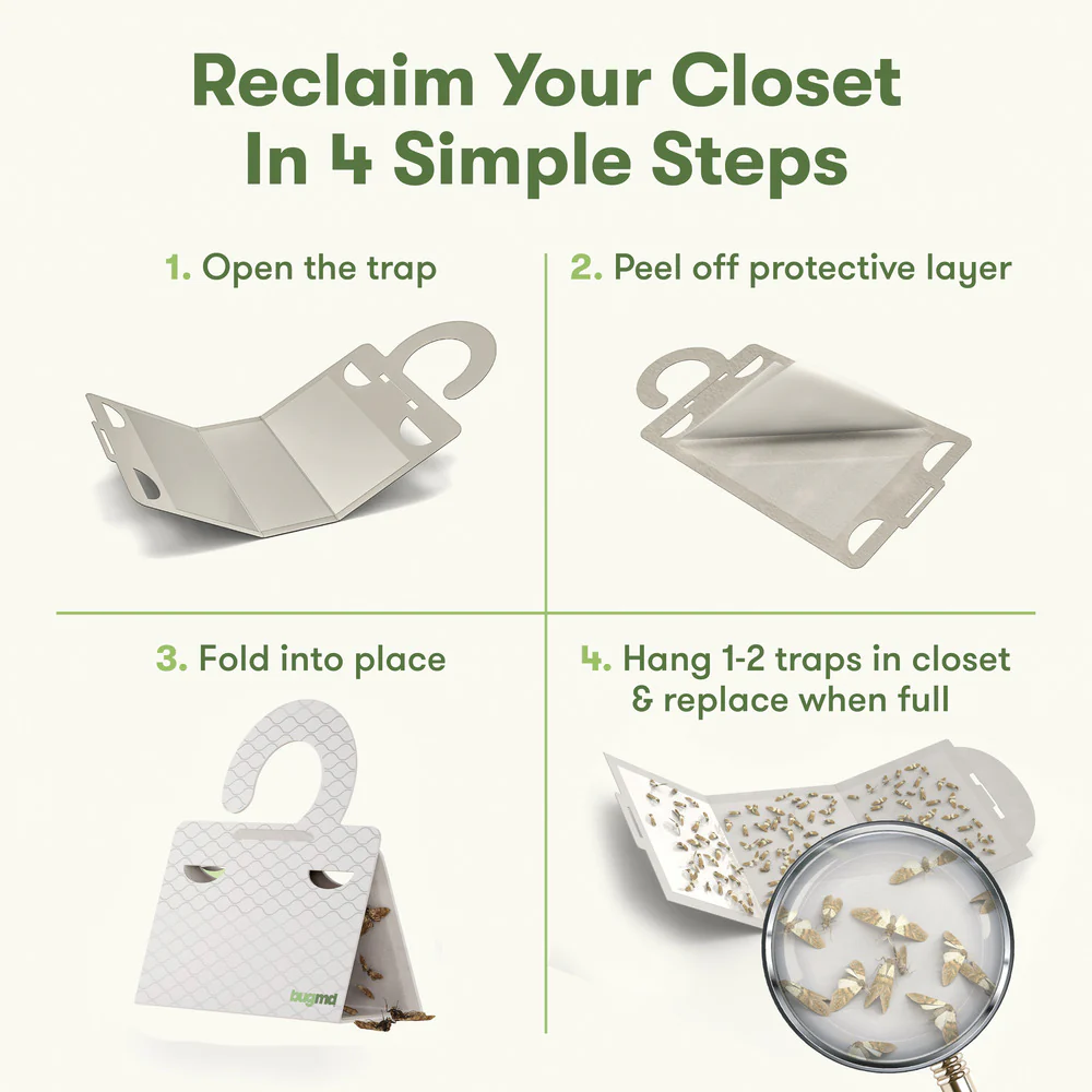 Clothes Moth Boss - Image 3