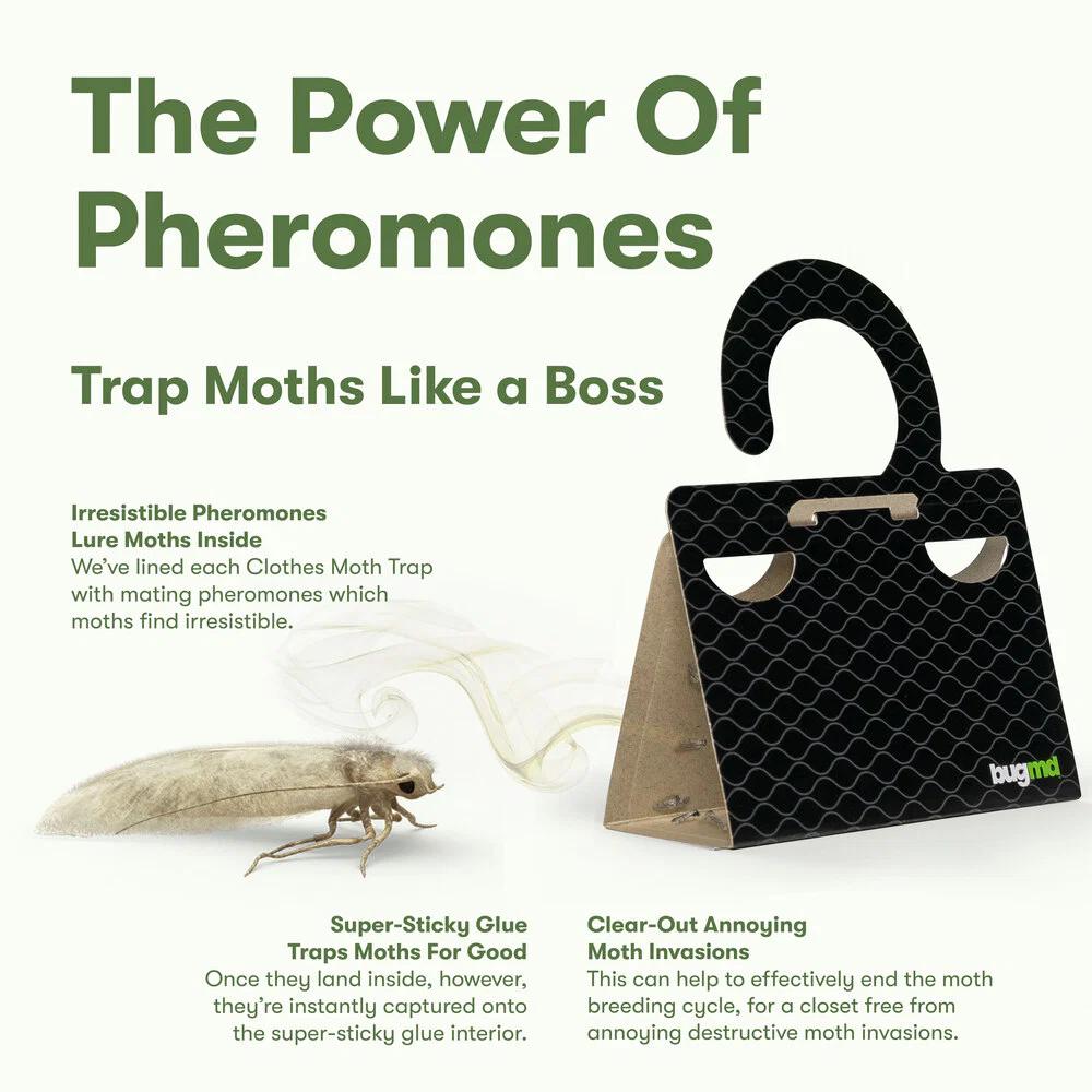 Clothes Moth Boss (Black) - Image 4