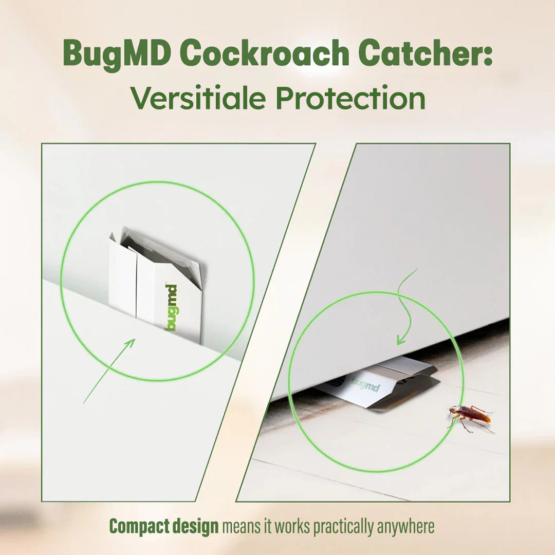 Cockroach Catcher - Image 6