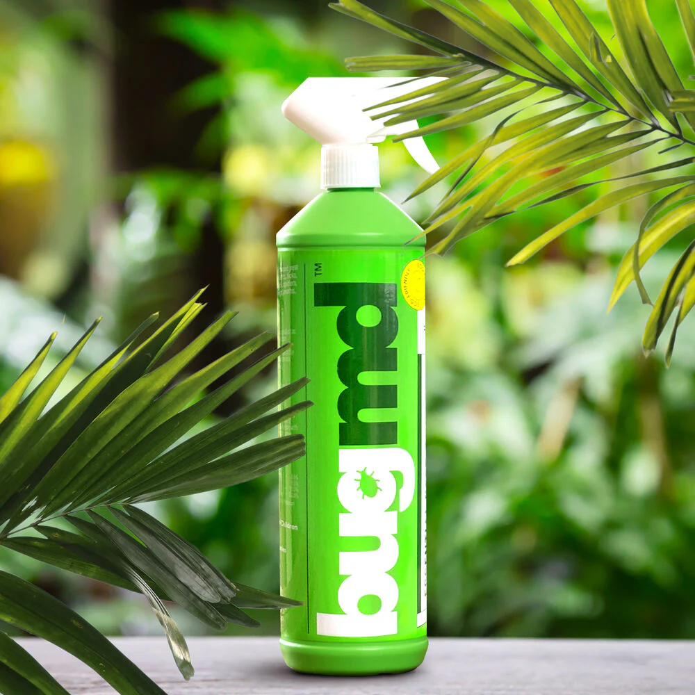 Essential Pest Concentrate Spray Bottle (Empty) - Image 5