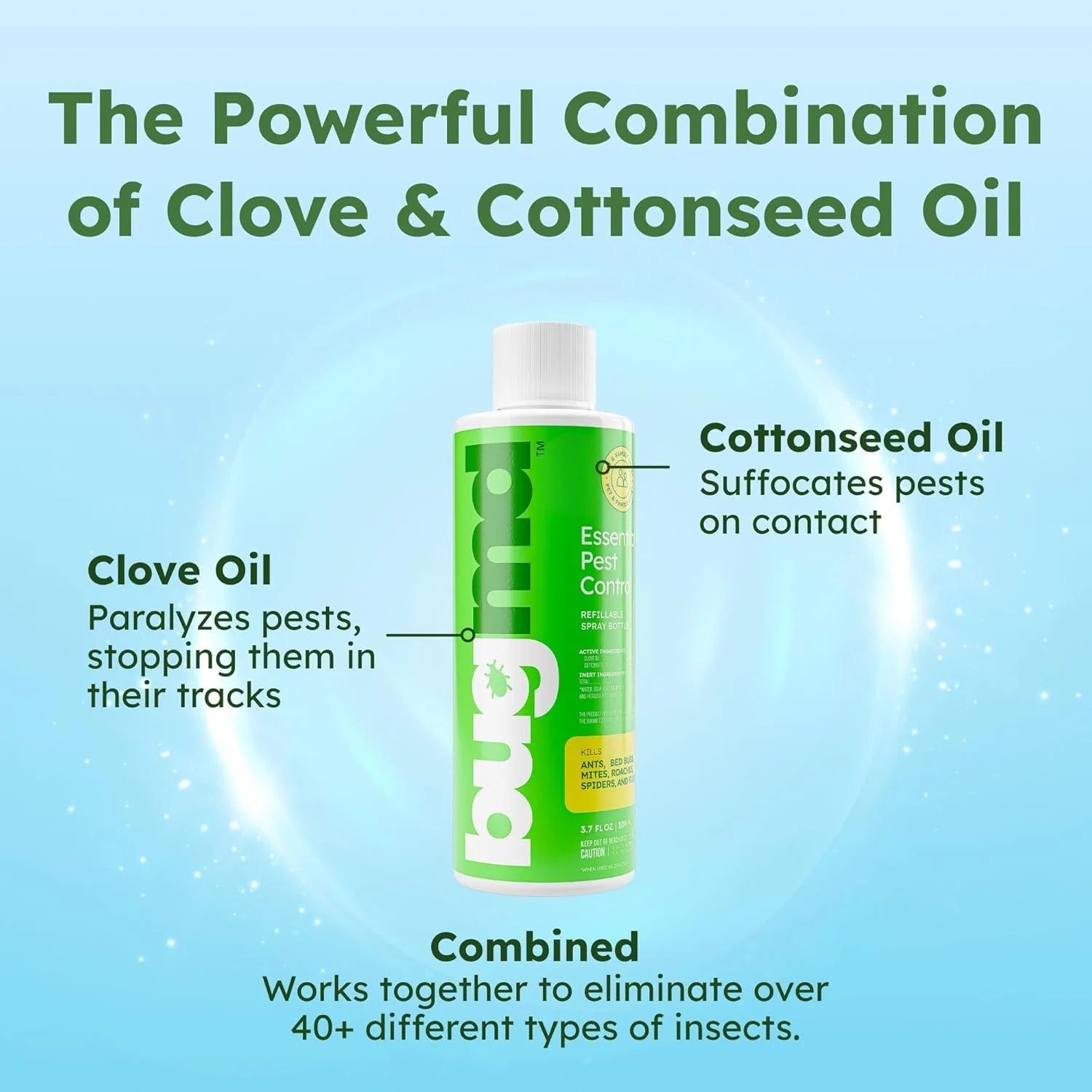 Essential Pest Control - Image 2