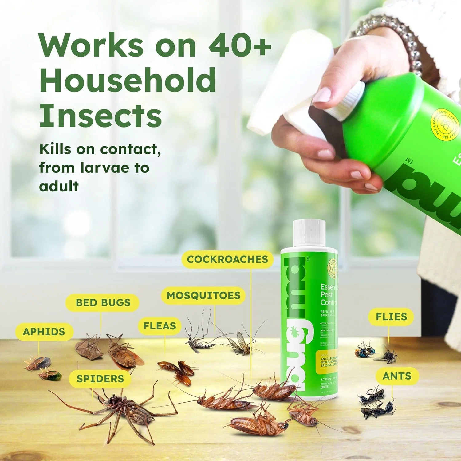 Essential Pest Control - Image 3