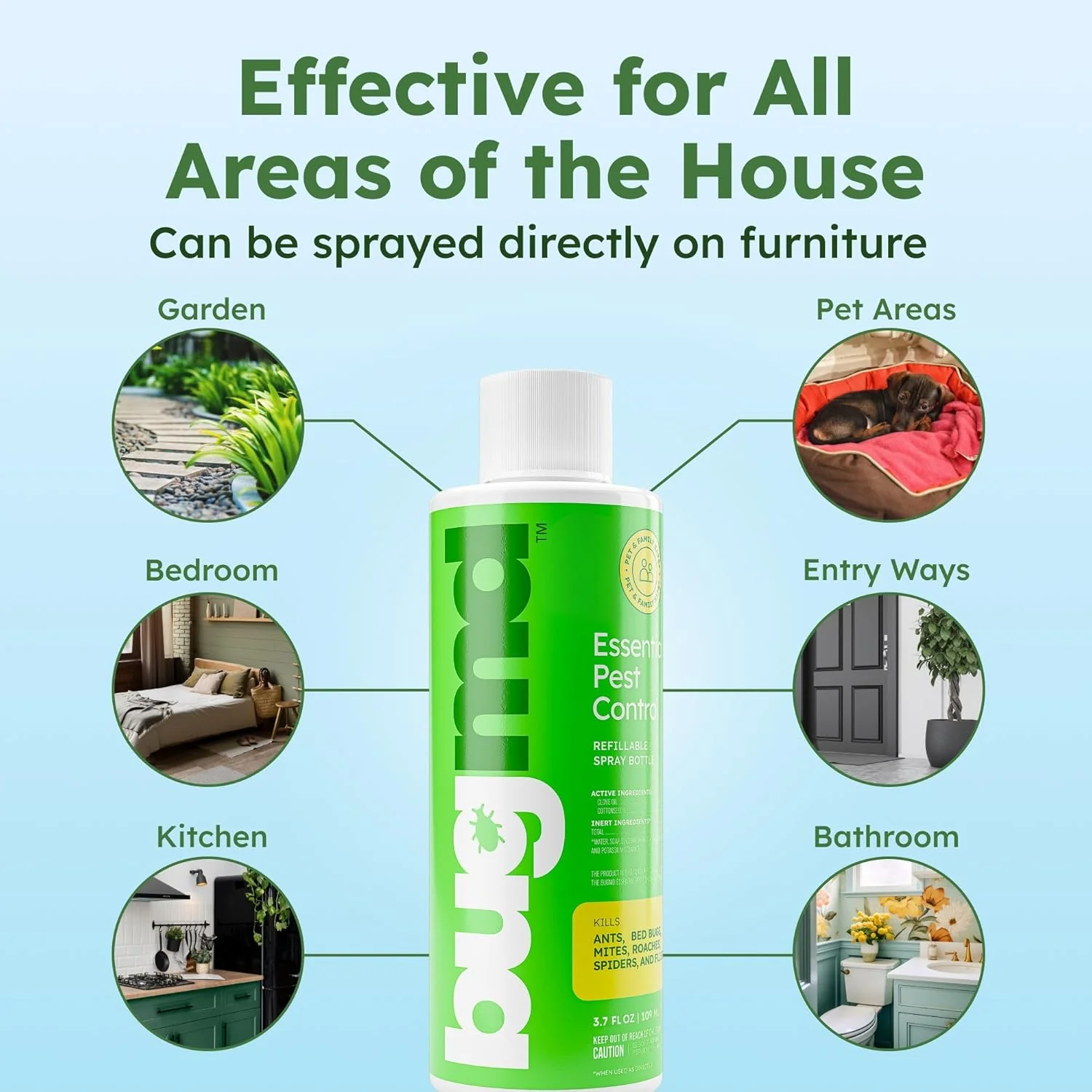 Essential Pest Control - Image 4