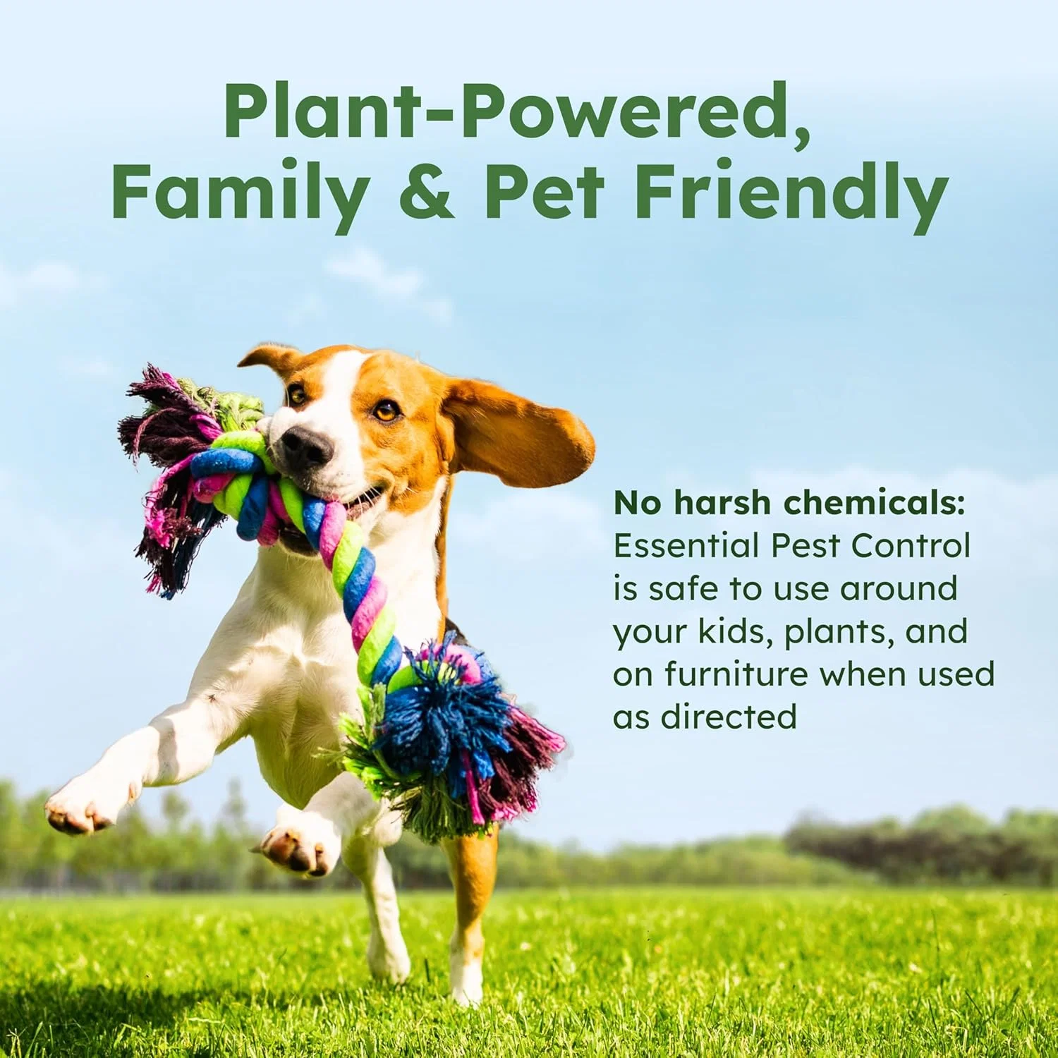 Essential Pest Control - Image 5