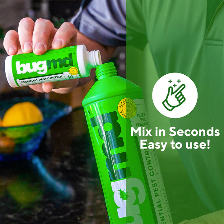 Essential Pest Control Plus a FREE Gift - Image 4