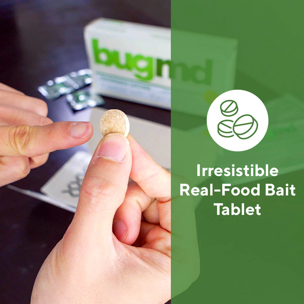 Exclusive Cockroach Catcher Offer - Image 4