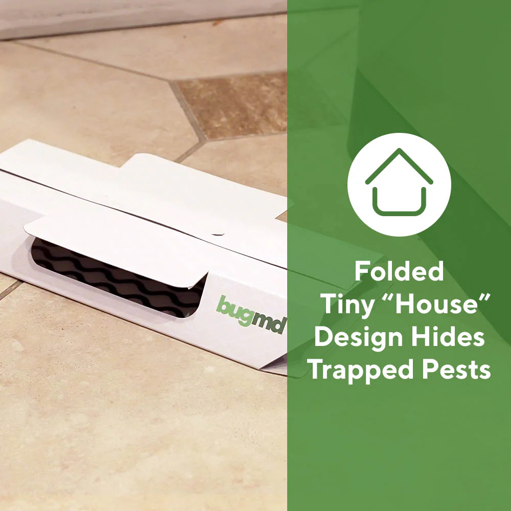 Exclusive Cockroach Catcher Offer - Image 5