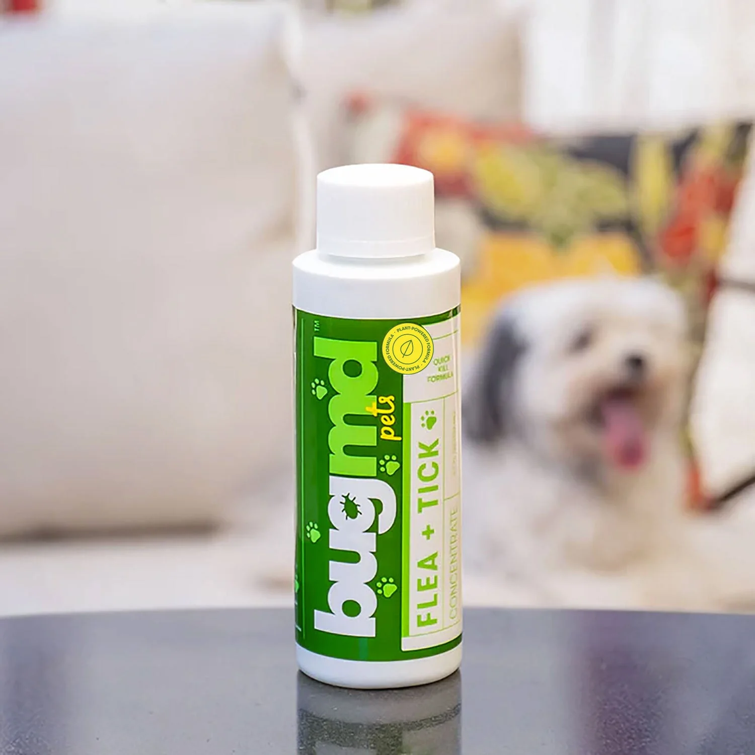 Exclusive Offer of Flea + Tick Concentrate - Image 5