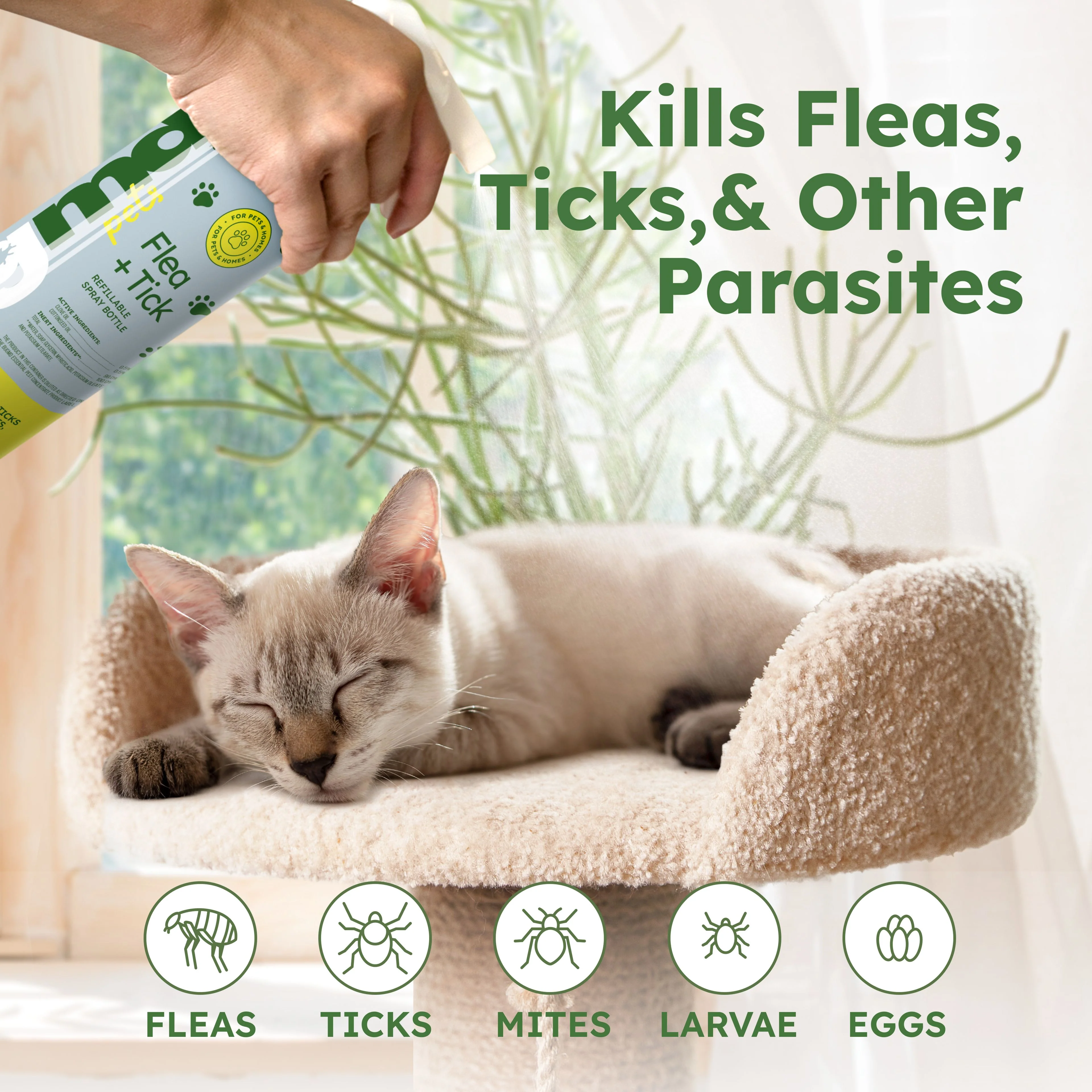 Flea + Tick Concentrate - Image 3