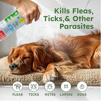 BugMD Flea + Tick Control - Image 3