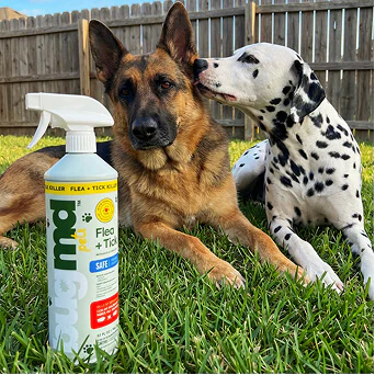 BugMD Flea + Tick Control - Image 7