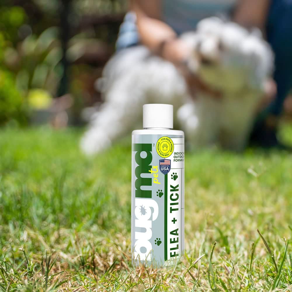 Flea + Tick Concentrate - Image 3