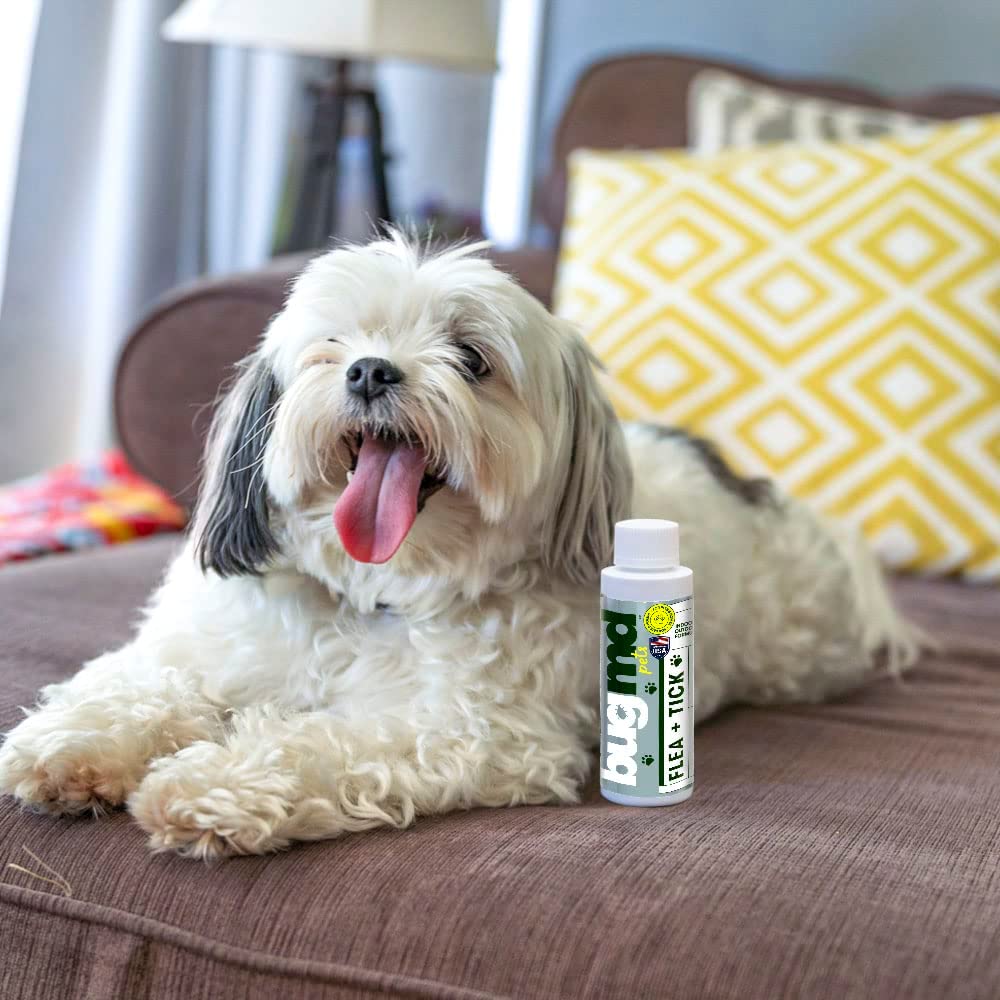 Flea + Tick Concentrate - Image 5