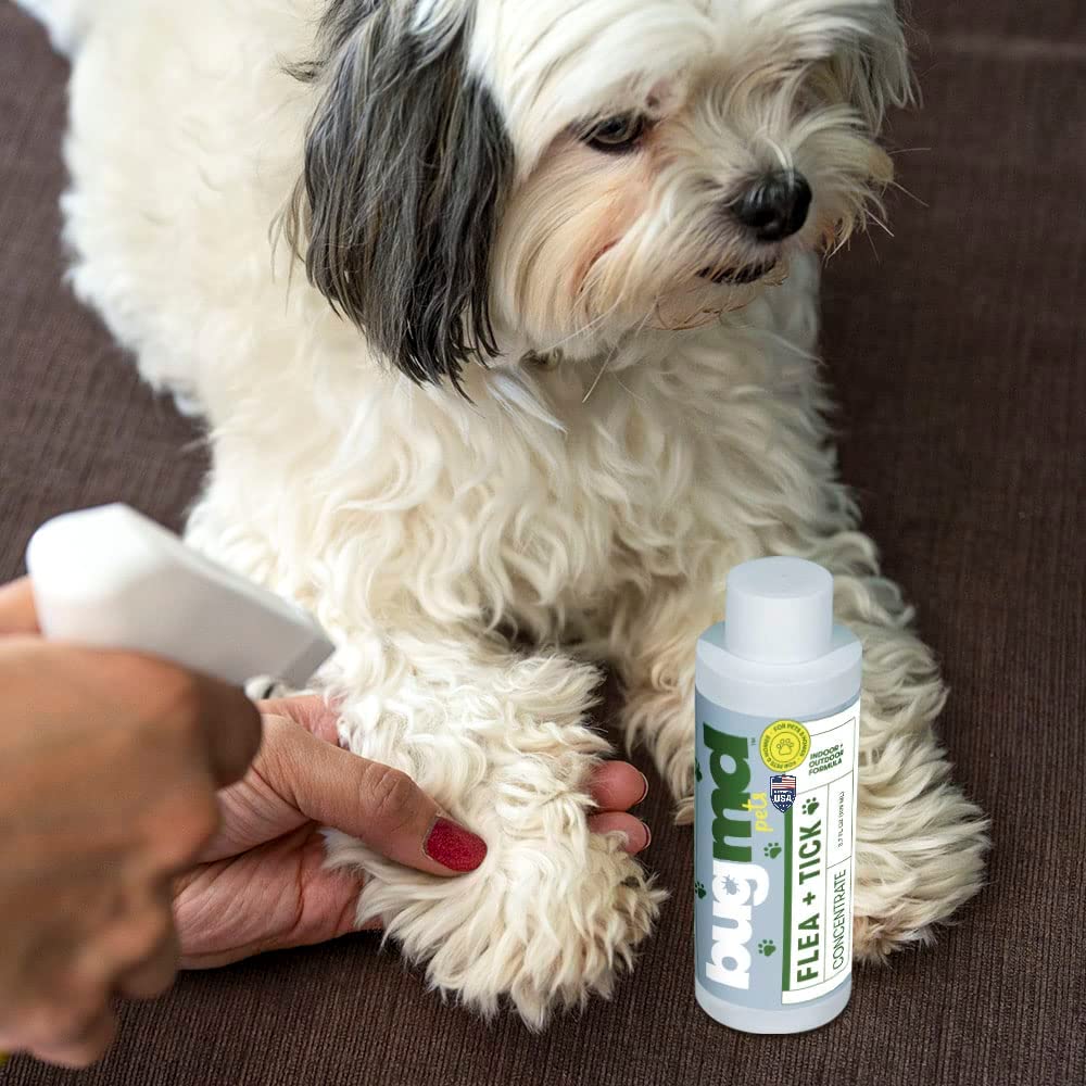 Flea + Tick Concentrate - Image 6