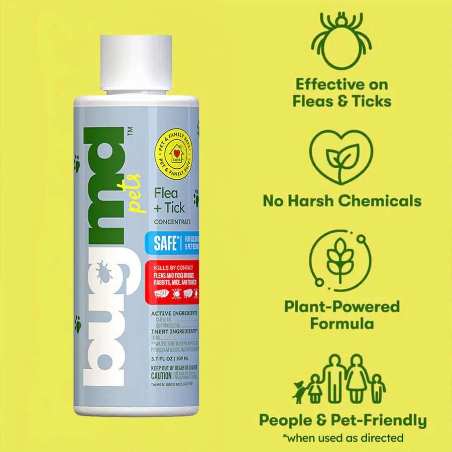 Flea + Tick Concentrate - Image 3