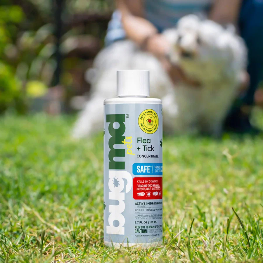 Flea + Tick Concentrate - Image 4