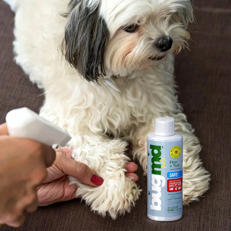 Flea + Tick Concentrate - Image 5