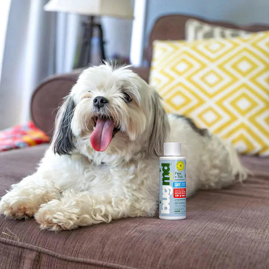 Flea + Tick Concentrate - Image 7