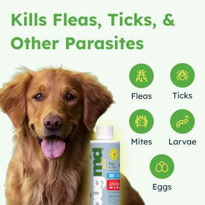 BugMD Flea + Tick Concentrate - Image 3