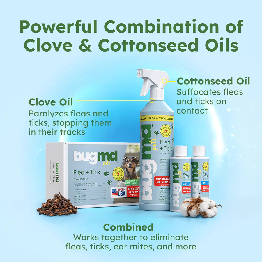 Flea + Tick Control - Image 2