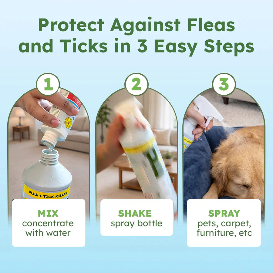 Flea + Tick Control - Image 6