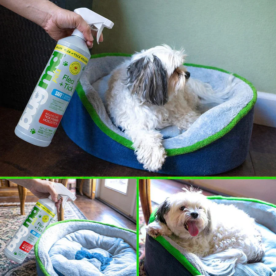 Essential Flea + Tick Concentrate Spray Bottle (Empty) - Image 5