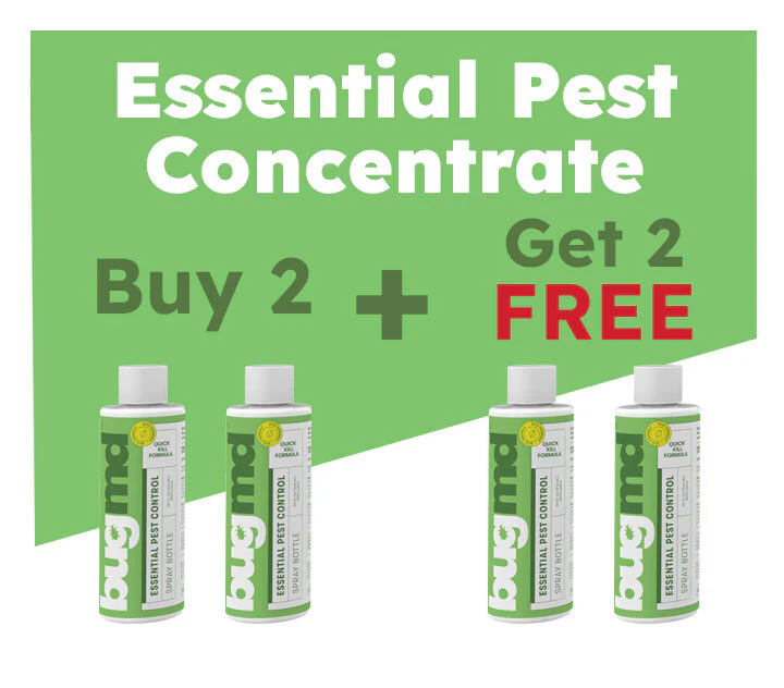 Pre-Memorial Day Sale: 50% OFF These 3 Products - Image 2