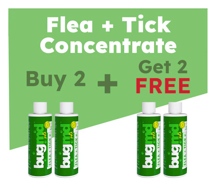 Pre-Memorial Day Sale: 50% OFF These 3 Products - Image 3