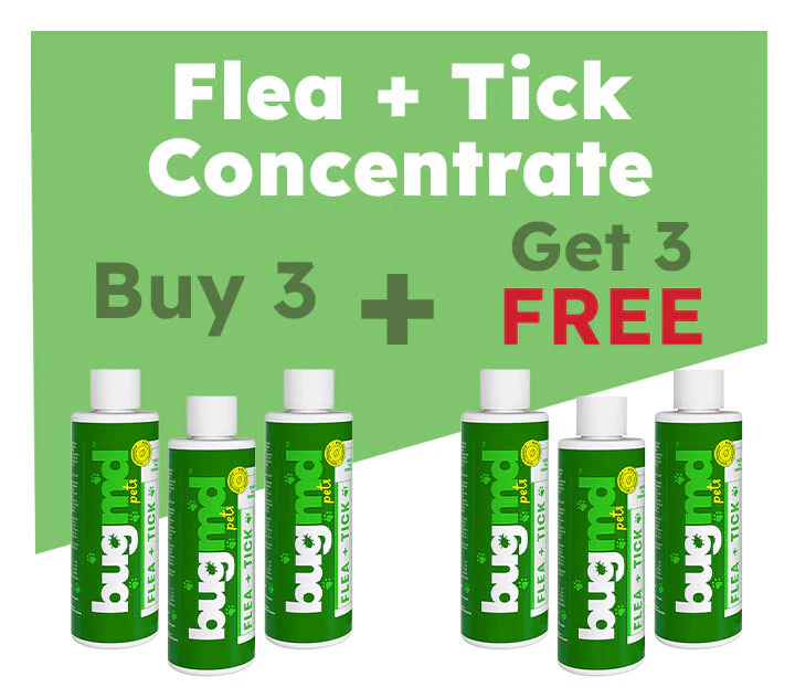 Pre-Memorial Day Sale: 50% OFF These 3 Products - Image 4