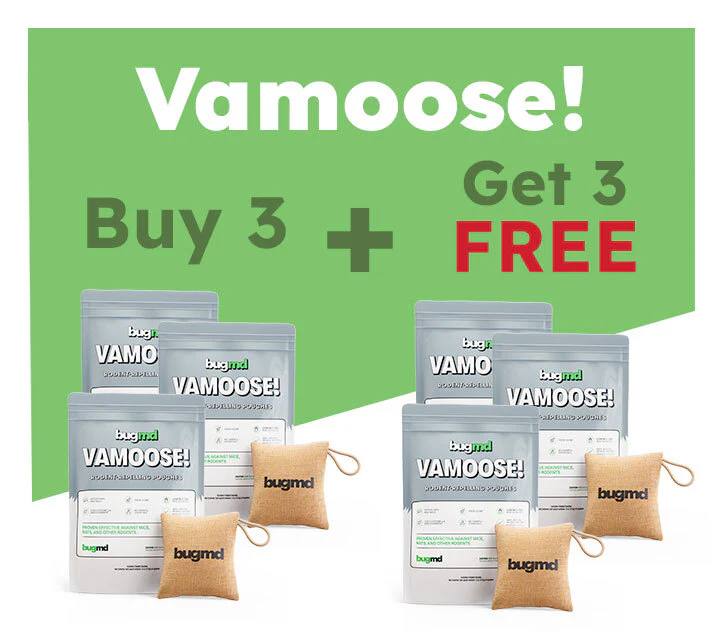 Pre-Memorial Day Sale: 50% OFF These 3 Products - Image 5