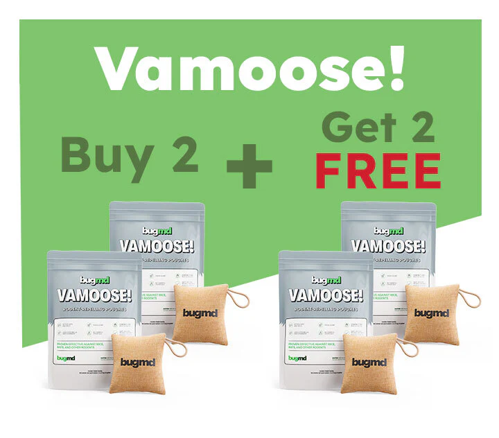 Pre-Memorial Day Sale: 50% OFF These 3 Products - Image 6
