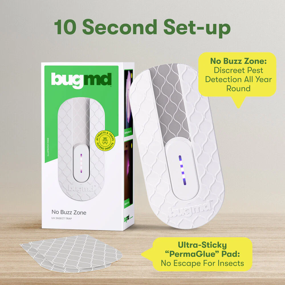 No Buzz Zone - Image 5