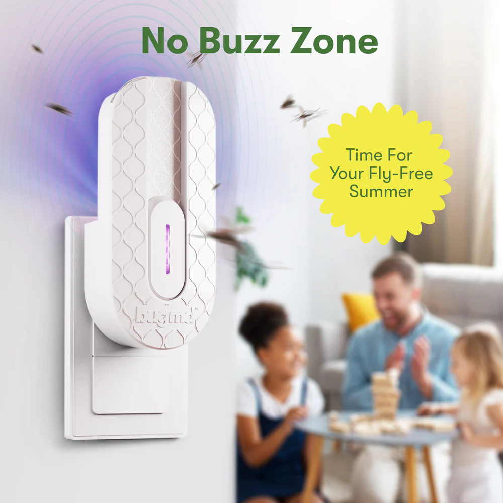 No Buzz Zone - Image 6