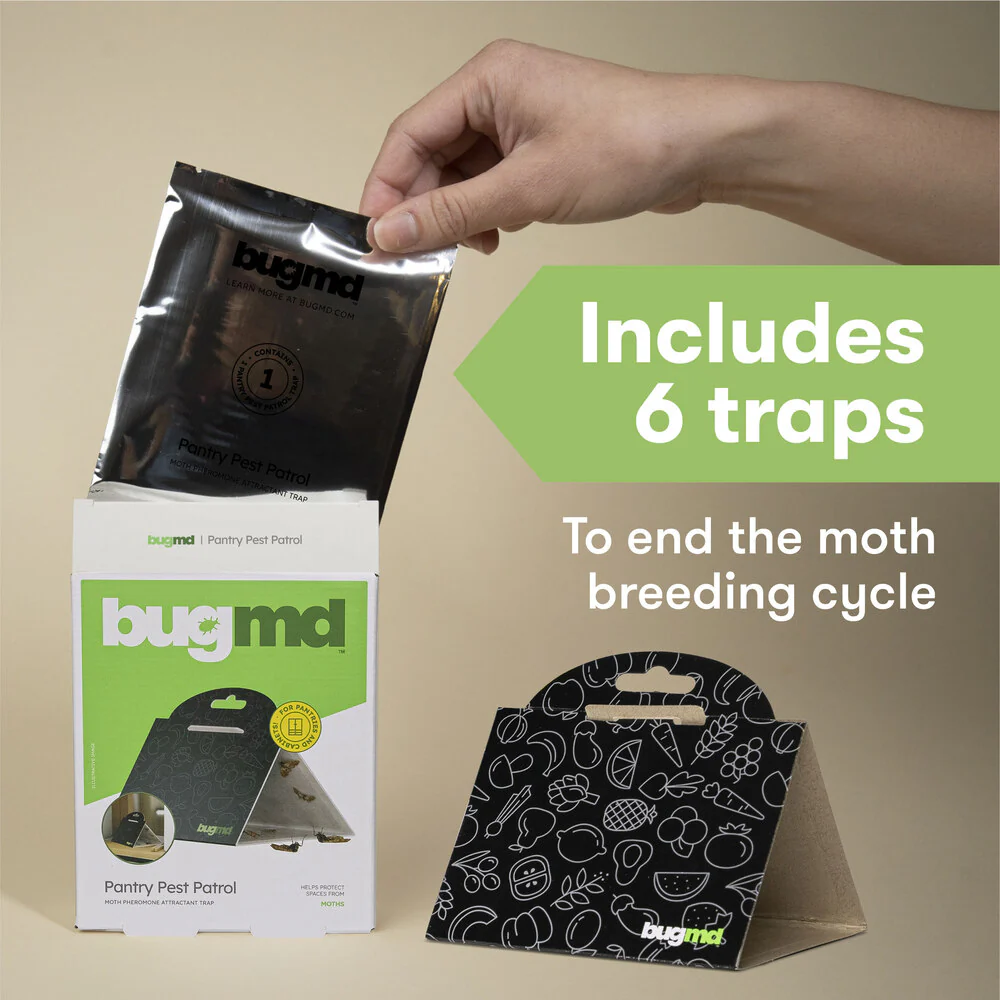 Pantry Pest Patrol (Black) - Image 5