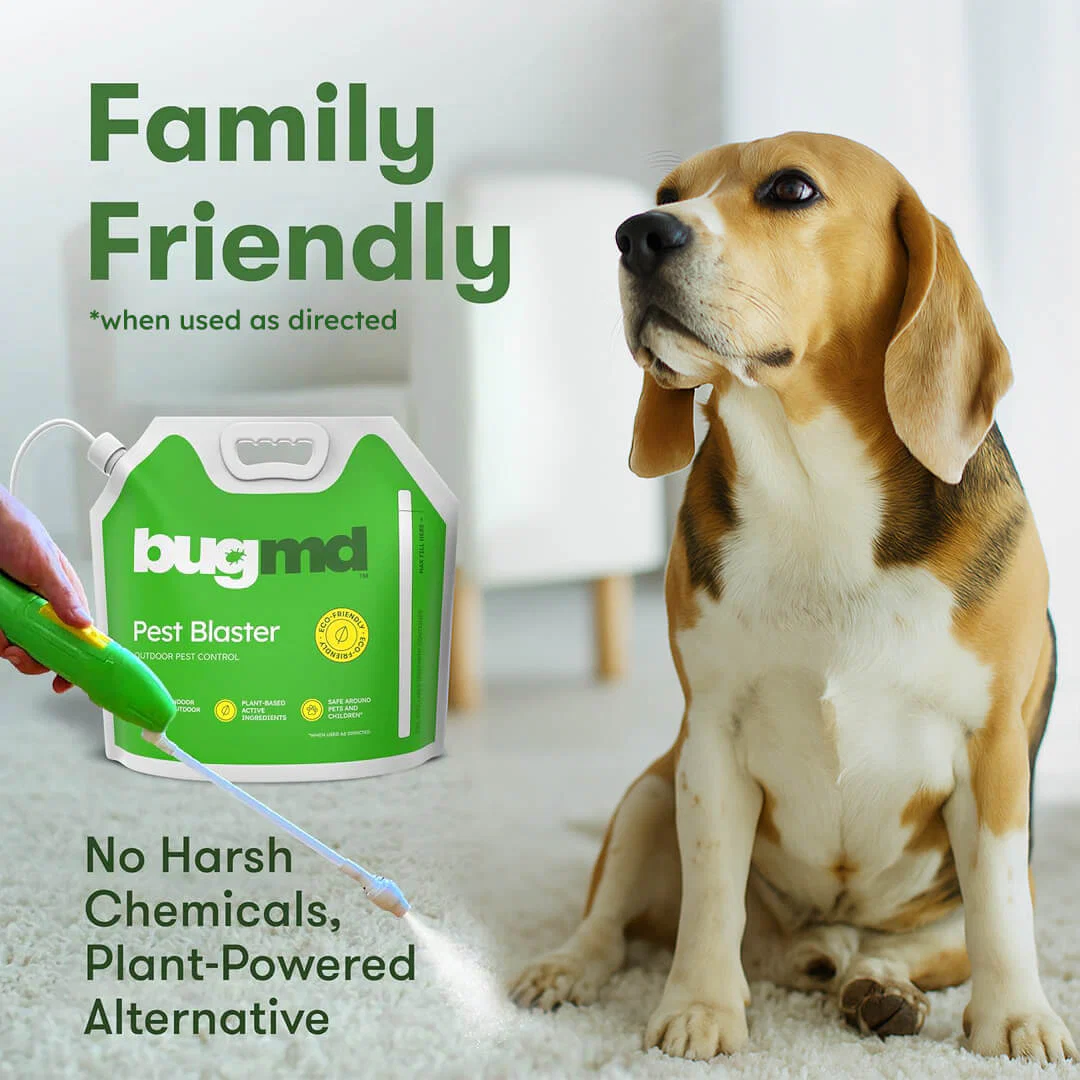 Pest Blaster Kit - Image 5
