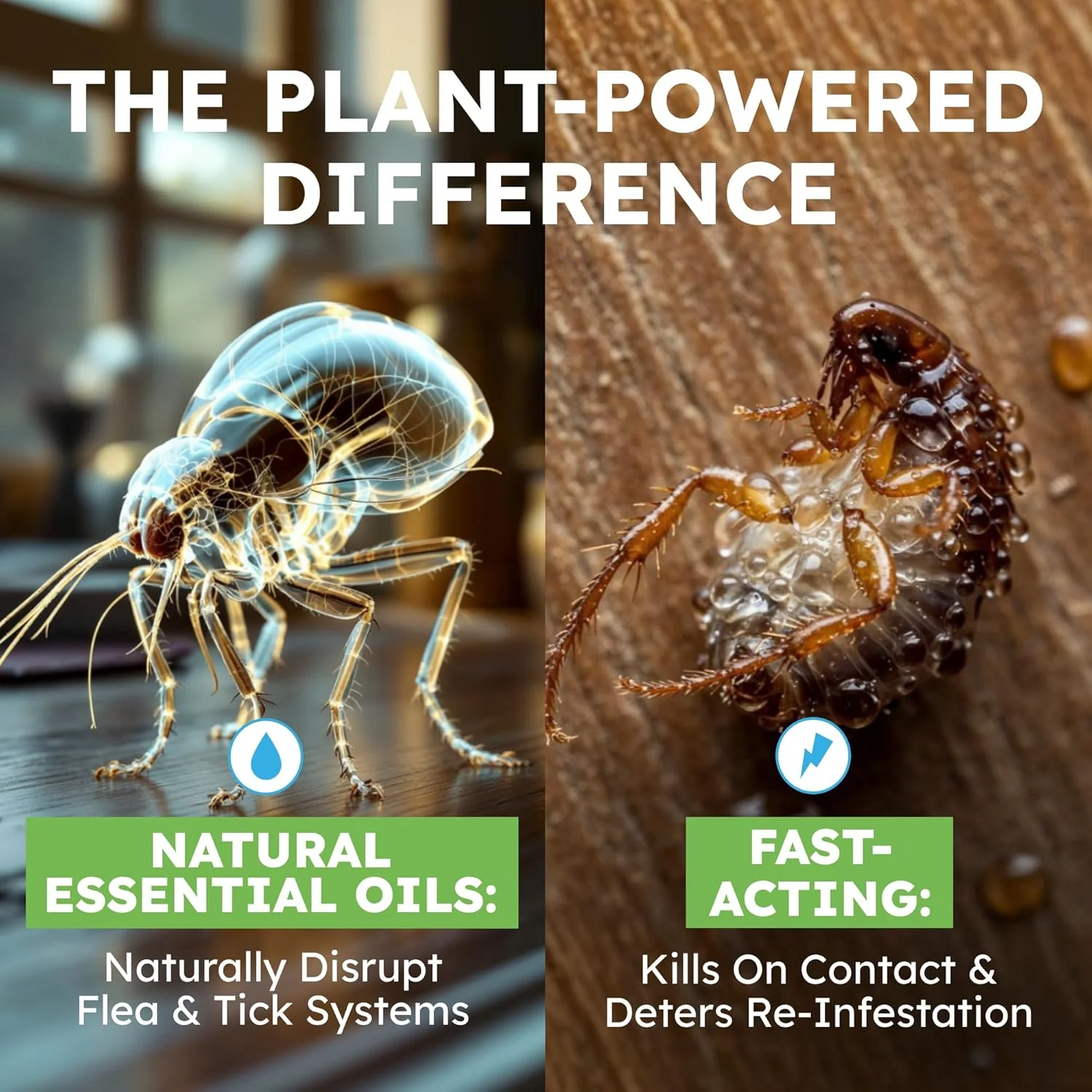 Pets Flea and Tick - Kill & Repel - Image 4