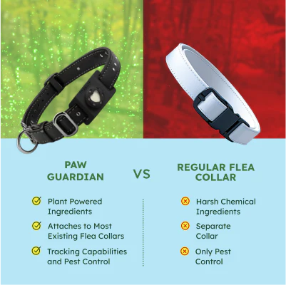 Paw Guardian - Image 3