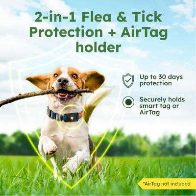 Paw Guardian - Image 6